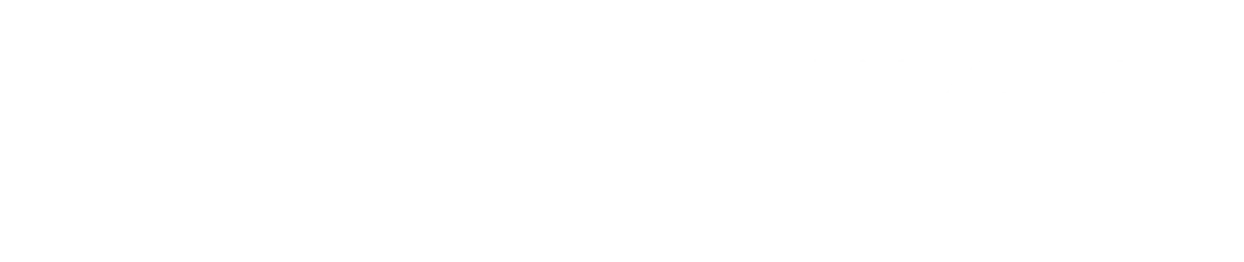 Logo white 1